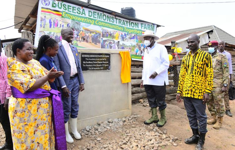 H.E. YOWERI KAGUTA MUSEVENI IMPRESSED BY BUSESA DEMONSTRATION FARM IN KIBAALE