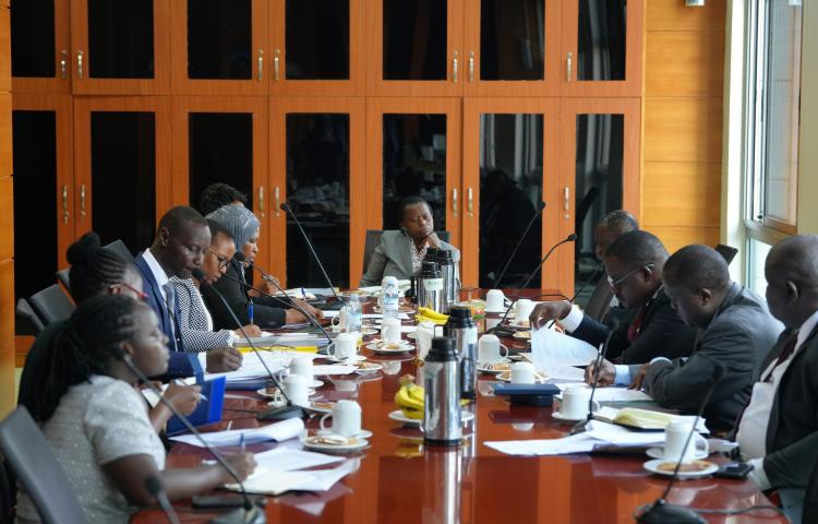 Meeting to discuss the guidelines for implementing the Cabinet Decision on phasing out of the position of Director and the rationalisation of the position of Commissioner or its equivalent within the Public Service